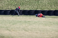 anglesey-no-limits-trackday;anglesey-photographs;anglesey-trackday-photographs;enduro-digital-images;event-digital-images;eventdigitalimages;no-limits-trackdays;peter-wileman-photography;racing-digital-images;trac-mon;trackday-digital-images;trackday-photos;ty-croes